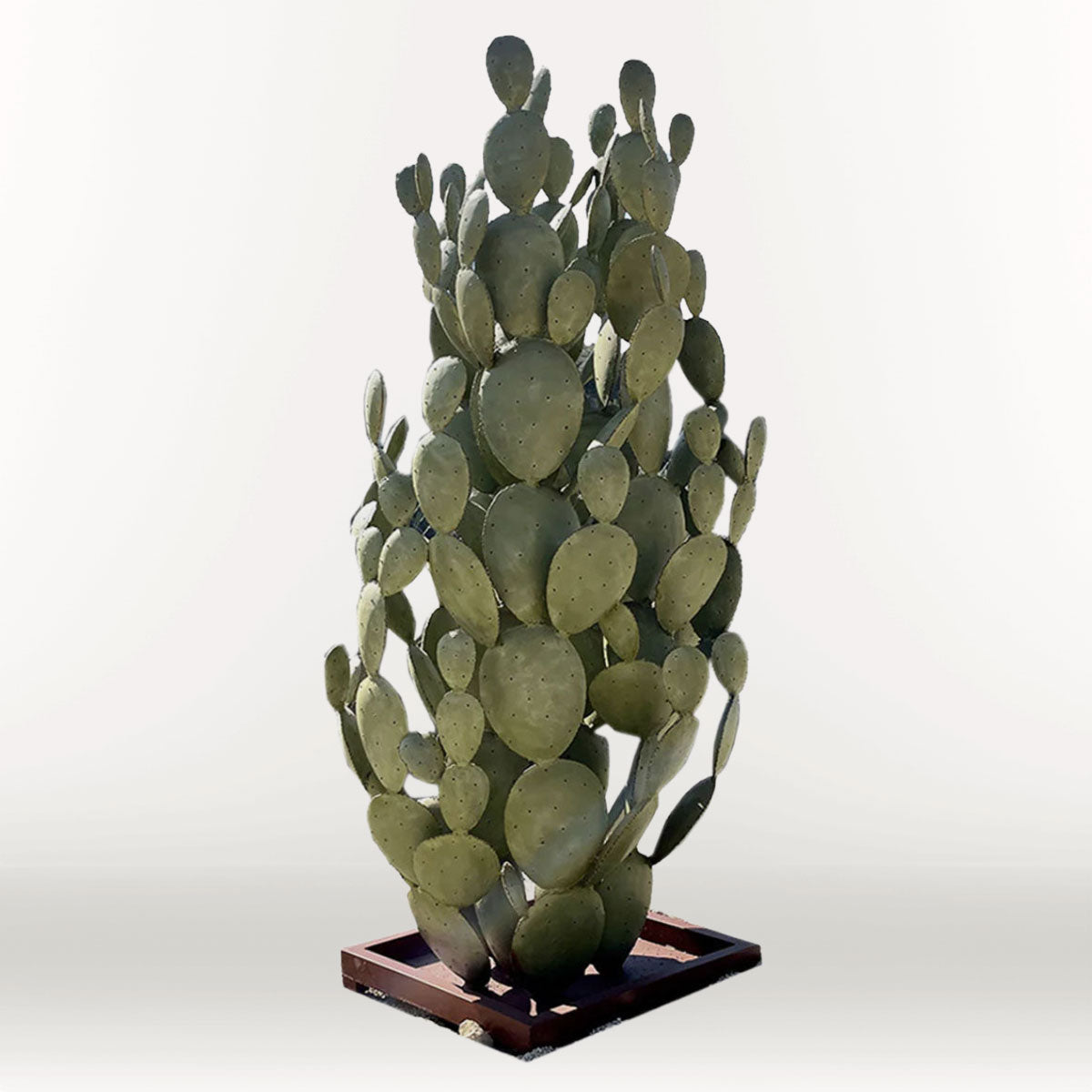Extra Large Cactus